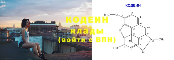 стаф Арсеньев