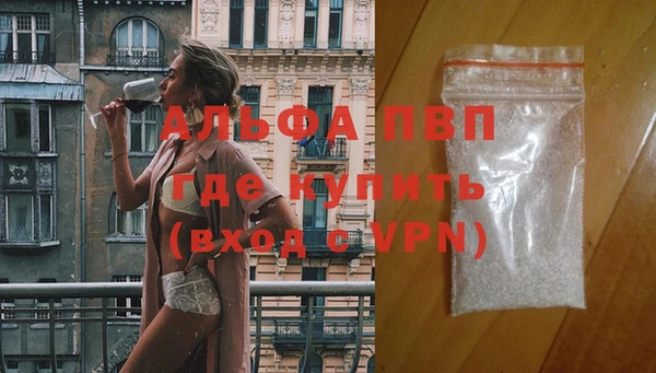 стаф Арсеньев