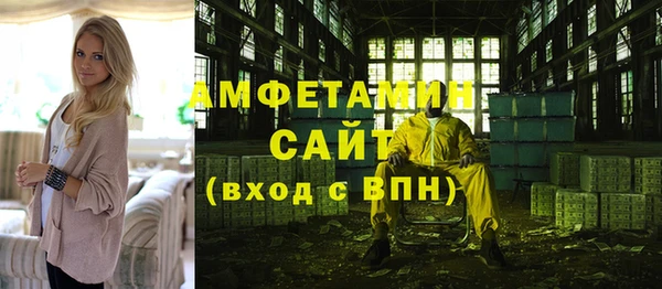 индика Баксан